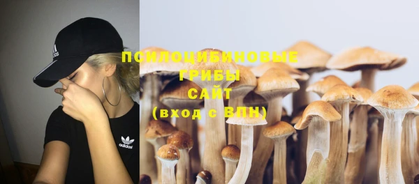 синтетический гашиш Абдулино