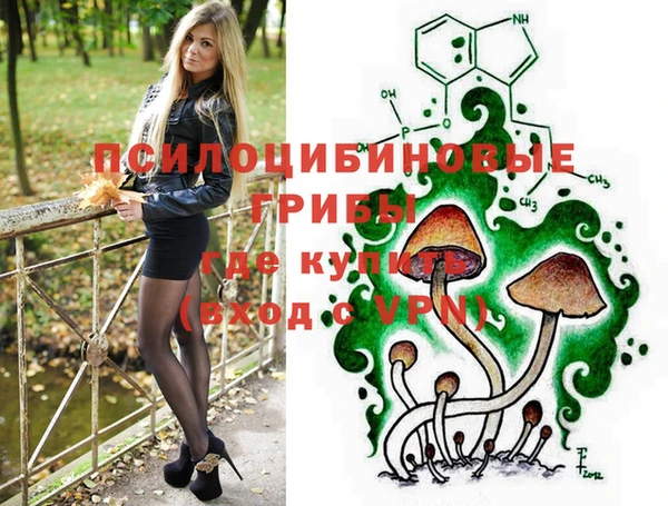 спиды Алзамай