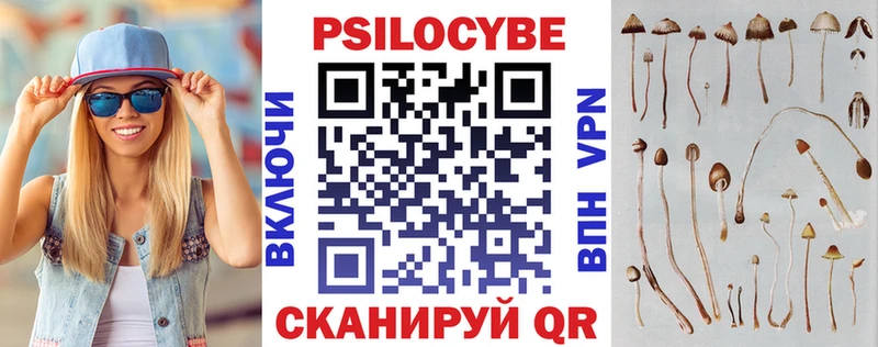 Галлюциногенные грибы прущие грибы  Цоци-Юрт 